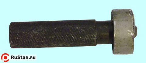 Пробка гладкая d 95,0 Н11 НЕ (8136-9000) фото №1 Пробка гладкая d 95,0 Н11 НЕ (8136-9000) фото №1